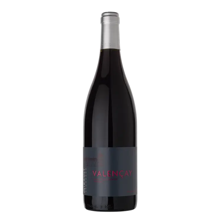 AOP Valencay Rouge Domaine Gibault 2022 Les 2 cavistes