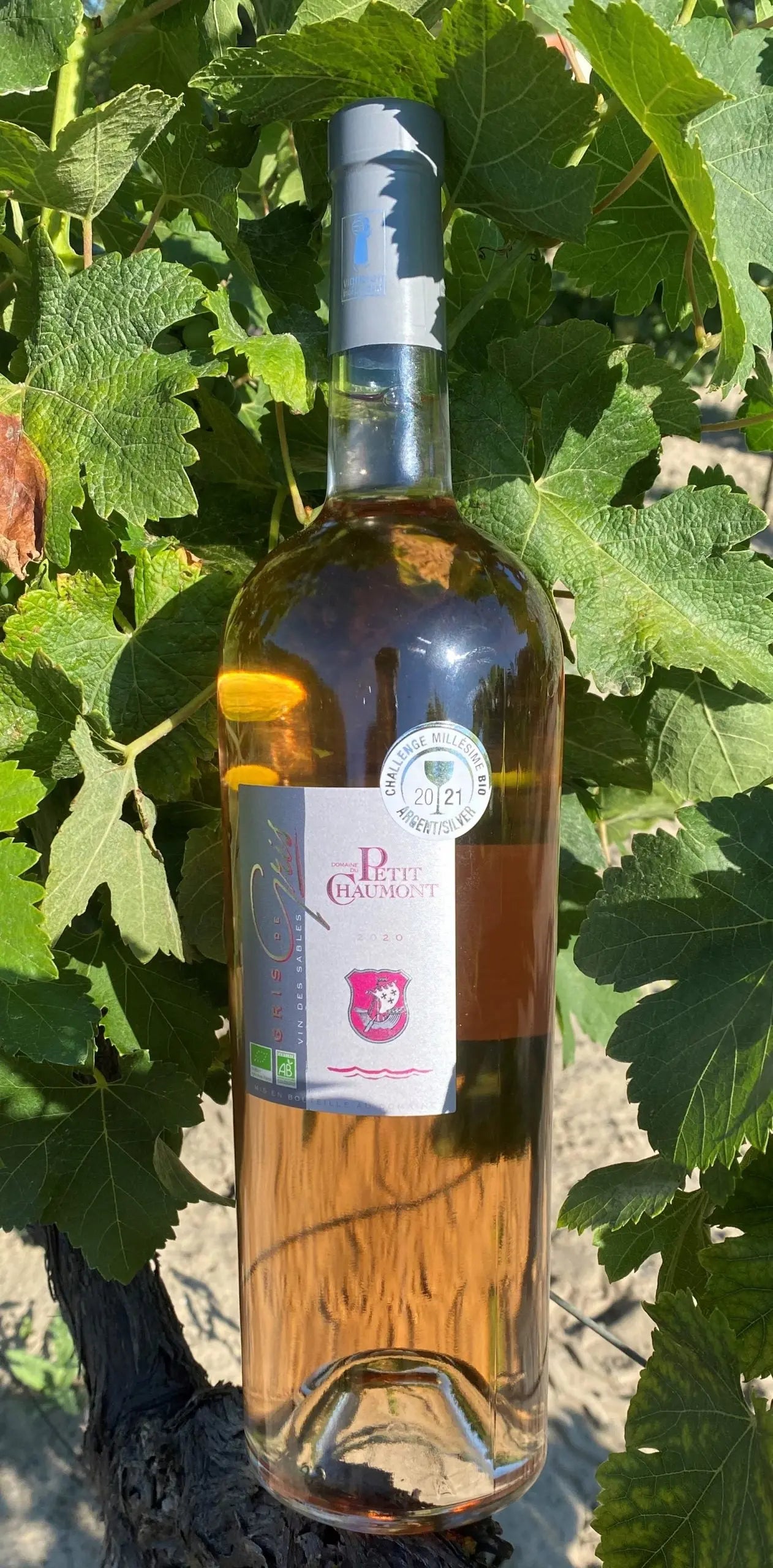 Petit Chaumont Gris Camargue 2023 Bio Les 2 cavistes