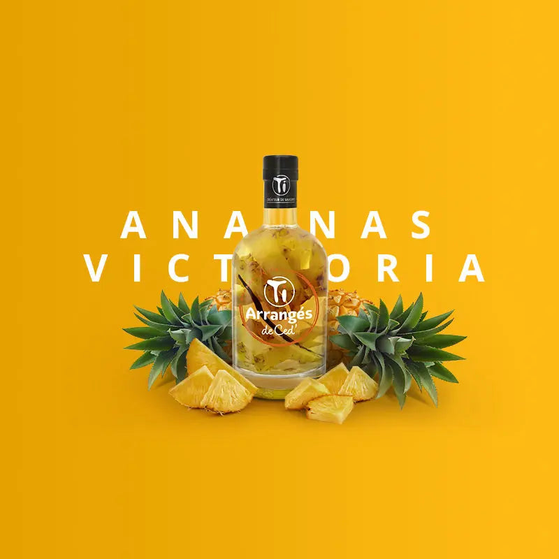 Ti Ced Ananas Victoria Rhum Arrangé
